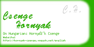 csenge hornyak business card